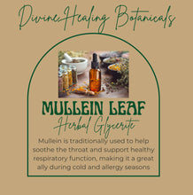 Load image into Gallery viewer, MULLEIN LEAF GLYCERITE