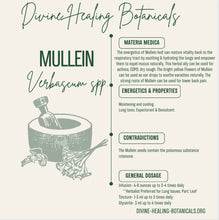 Load image into Gallery viewer, MULLEIN LEAF GLYCERITE