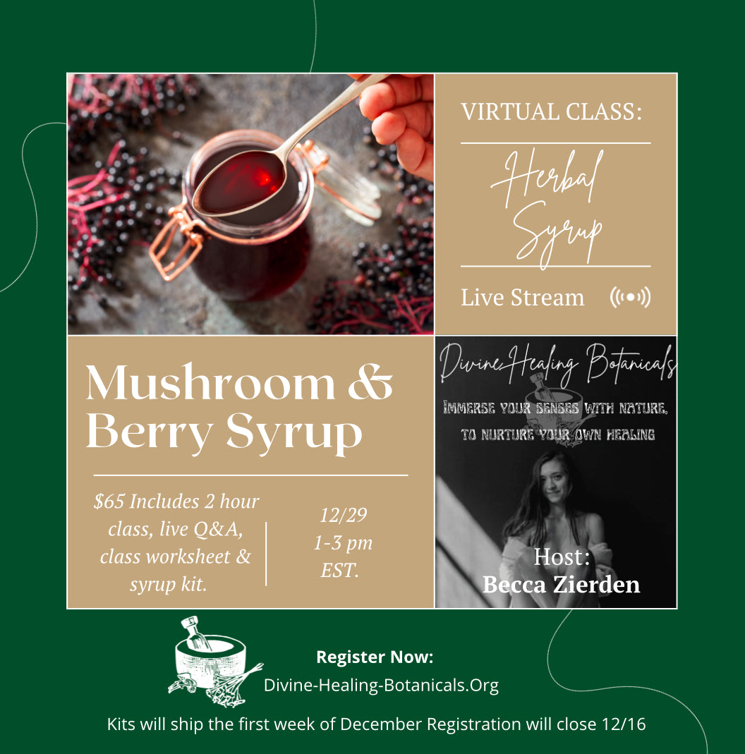 Elderberry Syrup Class (Virtual) & Kit