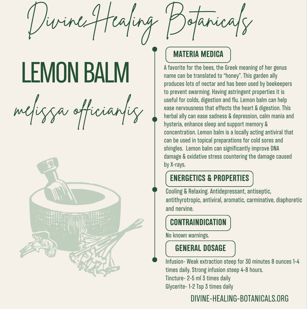 LEMON BALM